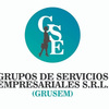 Perfil de Grusem Srl Grupos de Servicios Empresariales