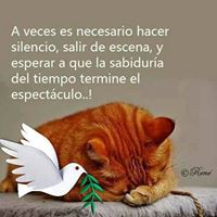 Perfil de Marcia Lorenzo