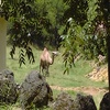 Perfil de Rafael Amparo