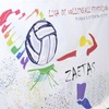 Perfil de Zaetas Liga Volleyball Femenino